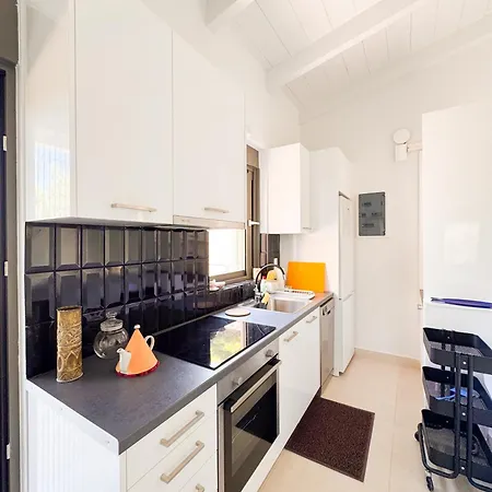 Eucalyptus--top Floor Beachfront Lefkáda